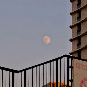 芙宁娜爆乳自慰
